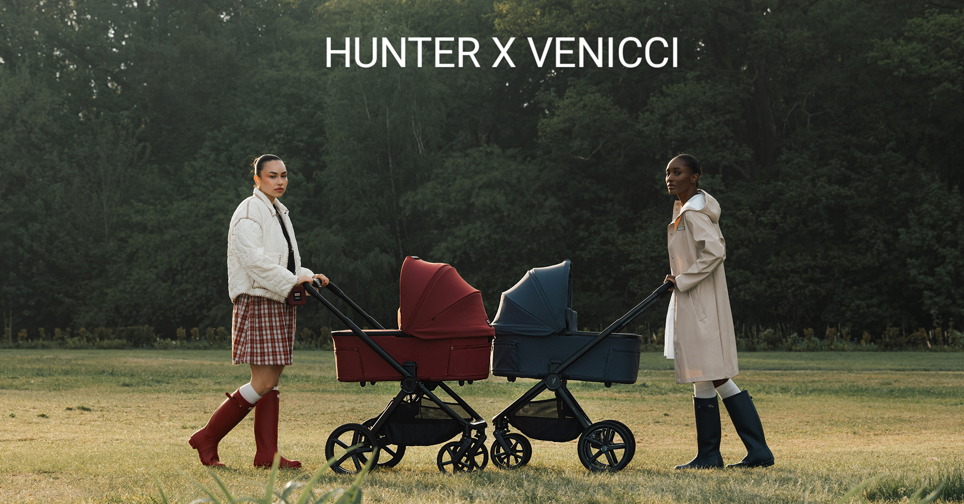 Venicci