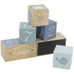 Label Label Milníkové kostky - Blue