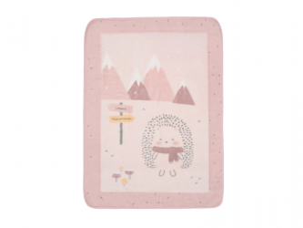 Dětská deka Super Soft 140x110 cm Hedge-hugs