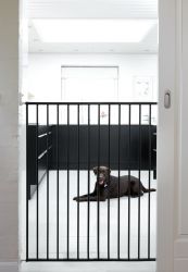 BabyDan Zábrana  Pet Gate Streamline, black 63,5-107 cm